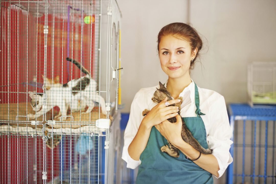 Careers with Animals