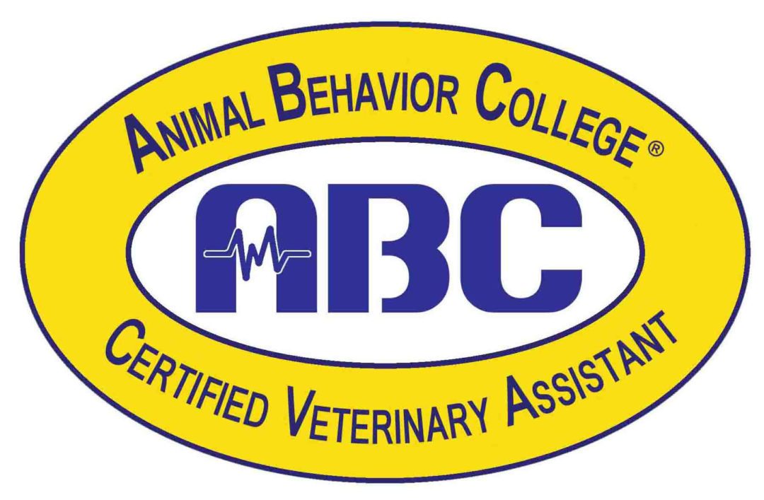 Veterinary Assistant School