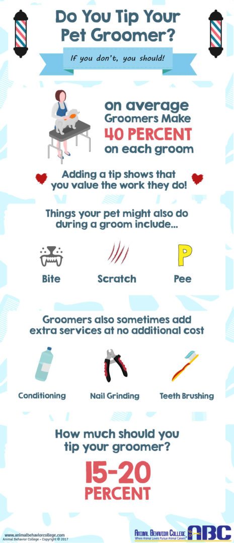 Excellent service from your dog groomer deserves to be recognized